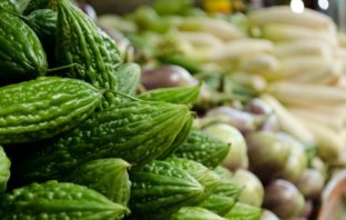 MELONE AMARO, UN VEGETALE CARICO DI VIRTÙ melone amaro