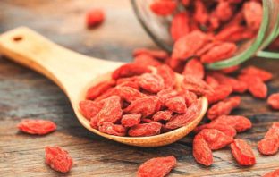 5 BENEFICI DELLE BACCHE DI GOJI bacche di goji