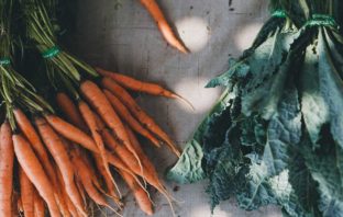 IL FALSO PROBLEMA DEL CIBO BIOLOGICO