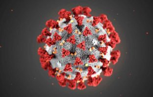 CORONAVIRUS NON MALATTIA MA PROGRAMMA DI GOVERNO