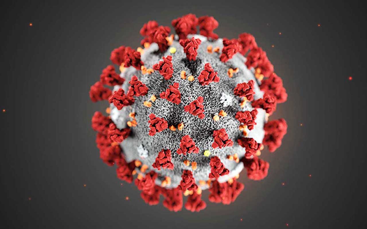 CORONAVIRUS NON MALATTIA MA PROGRAMMA DI GOVERNO