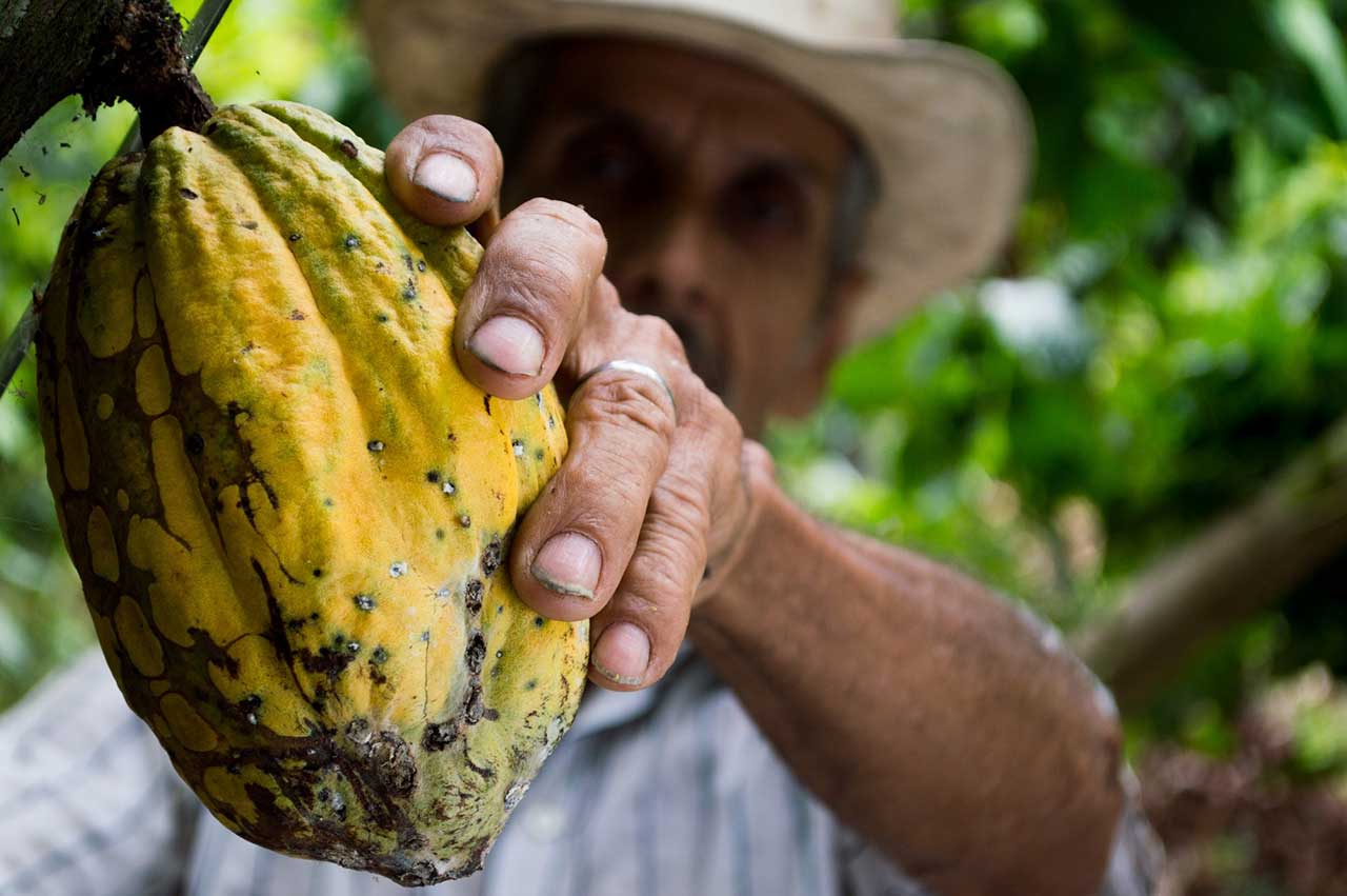 CACAO INTEGRATORE CALORICO E COMPENSATIVO MENTALE