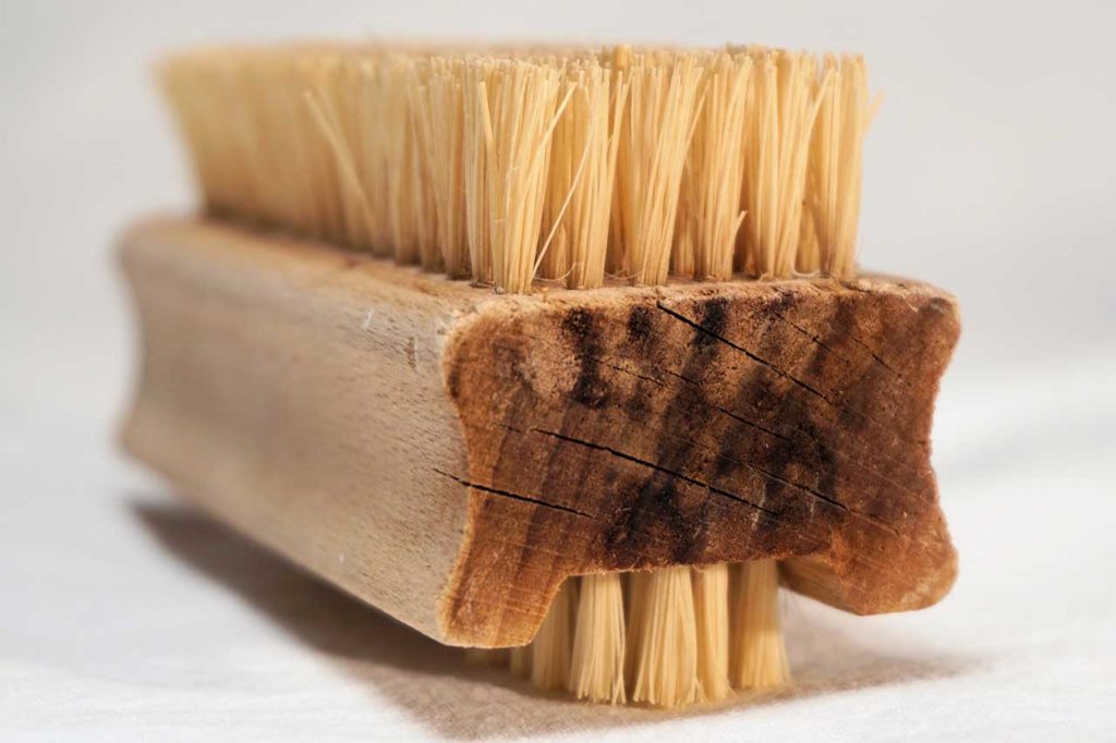 dry brushing cellulite