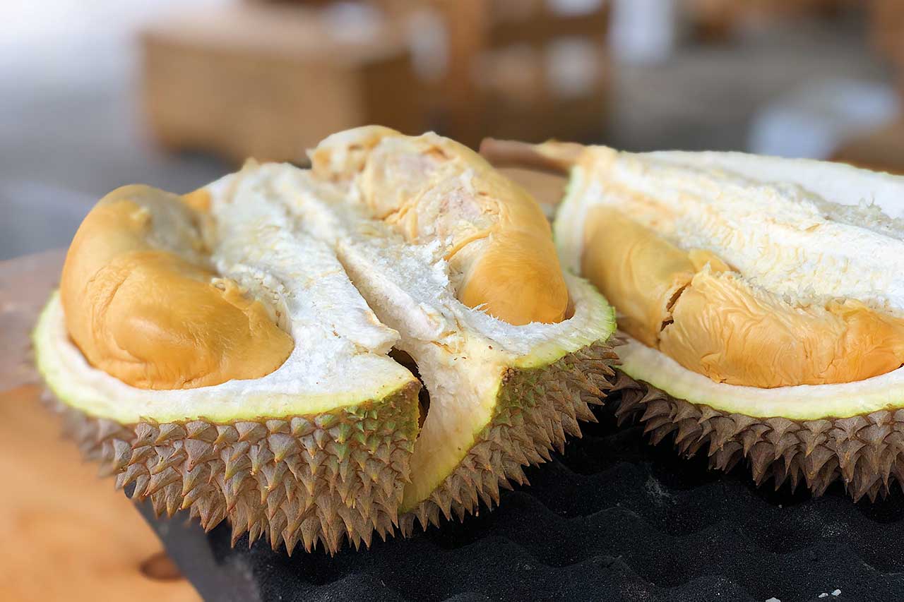 UNA MAGICA RISORSA DI NOME DURIAN