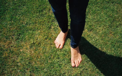 MESSA A TERRA O EARTHING RICARICANTE, RETE DI HARTMANN E RADIAZIONI