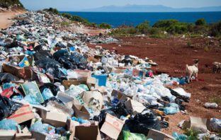 LA BIODEGRADAZIONE DELLA PLASTICA PUÒ AVVENIRE ANCHE ALL’INTERNO DEL CORPO UMANO?