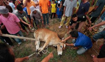 I RITI SACRIFICALI DELL’ISLAM