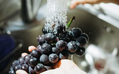 COME ELIMINARE I PESTICIDI E I METALLI PESANTI DA FRUTTA E VERDURA?