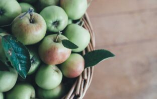 LA PRECARIETÀ DEI FRUTTARIANI D’ITALIA