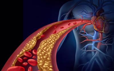 OMOCISTEINA BAROMETRO FUNZIONALE DEL CORPO UMANO