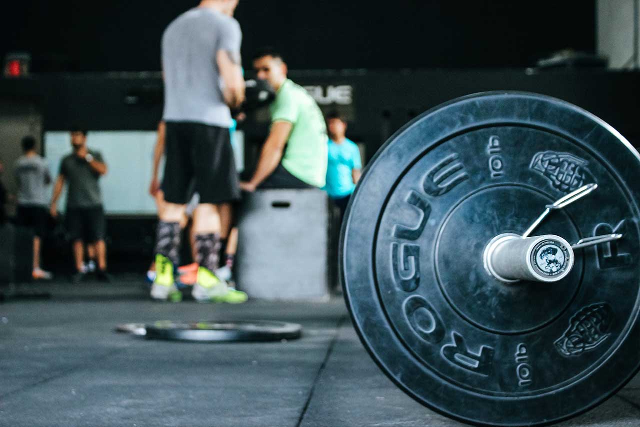 DA PALESTRA CARNIVORA A PALESTRA VEGANA