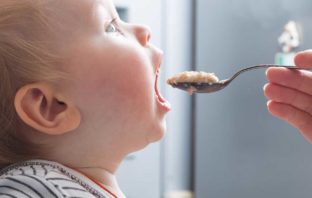 HOLLE ED OMOGENEIZZATI DI QUALITÀ, CIBO AFFIDABILE E CIBO VITALE