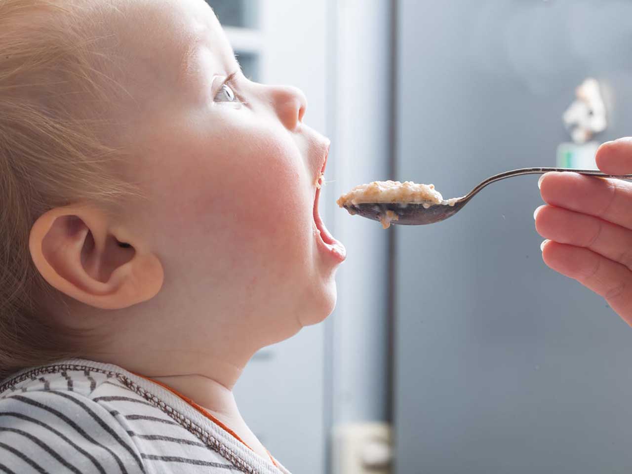 HOLLE ED OMOGENEIZZATI DI QUALITÀ, CIBO AFFIDABILE E CIBO VITALE