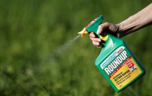 CELIACHIA E MALFORMAZIONI GRAZIE AL ROUNDUP DELLA MONSANTO