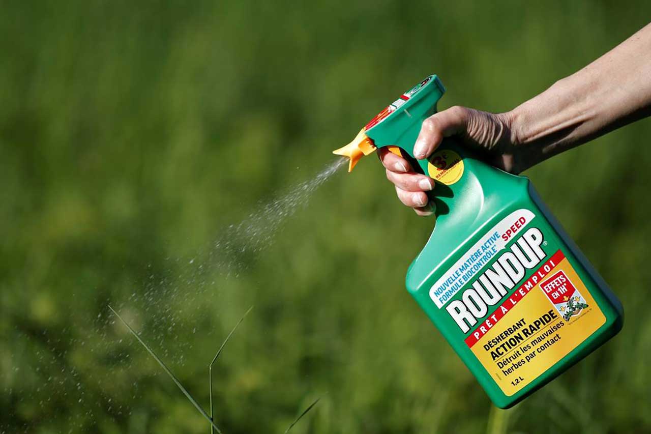 CELIACHIA E MALFORMAZIONI GRAZIE AL ROUNDUP DELLA MONSANTO