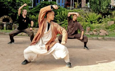 L’INSEGNAMENTO FISICO E SPIRITUALE DI SHEN HENG LI, MAESTRO SHAOLIN