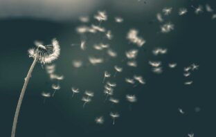 LIBERI COME IL VENTO E INNAMORATI DELL’UNIVERSO