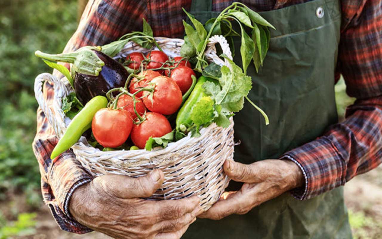 CARPIRE IL MEGLIO DA FRUTTA E VERDURA, ED ANCHE DAI MAESTRI DEL PASSATO