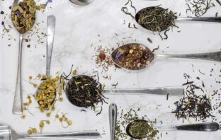 LA CURA DELLA NON-CURA ESCLUDE ANCHE LA FITOTERAPIA
