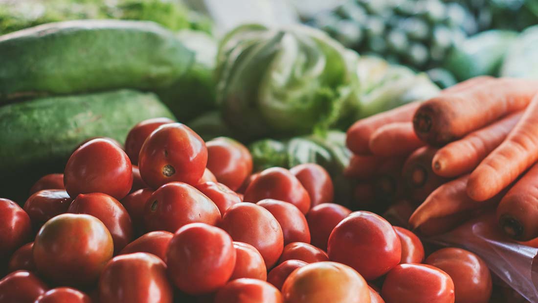 TERRENO TOSSICO E STITICHEZZA MADRI DI TUTTE LE MALATTIE