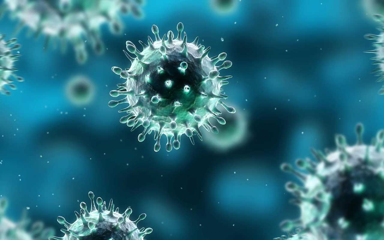 VIRUS MOSTRI ORRIBILI O ELEMENTI SACRI E PREZIOSI PER L’UOMO?