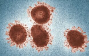 LA SCIENZA VIRALE AUTENTICA RICOPRE DI RIDICOLO IL MONDO VACCINALE