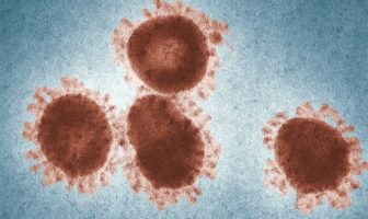 LA SCIENZA VIRALE AUTENTICA RICOPRE DI RIDICOLO IL MONDO VACCINALE