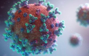 VIRUS AMICI E TANTA FELICITÀ