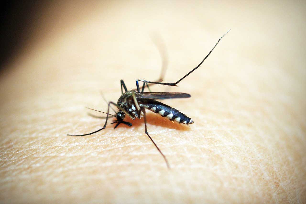 COME AFFRONTARE LA MALARIA E LE MALATTIE TROPICALI